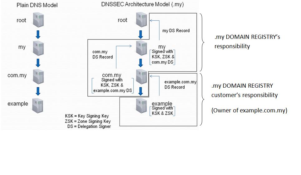 dns